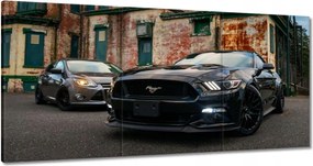 Vászonkép 60x30 Fekete amerikai szörny