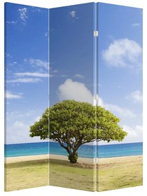 Paraván - Fa a tengerparton (126x170 cm)