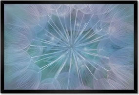 Poszterek keretben 60x40 Pitypang Virág Virágok