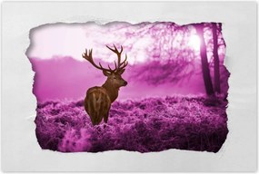 Poszterek 120x80 Szarvas a lila erdőben
