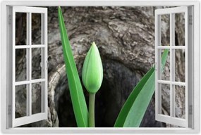 Poszterek 120x80 Zöld tulipán