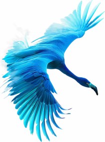 Poszter 20,5x28,4cm Kék repülés