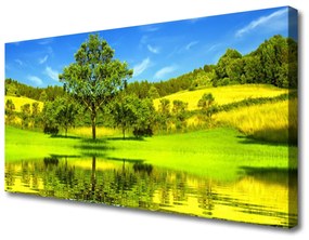 Vászonkép falra Fa Mező Természet 120x60 cm
