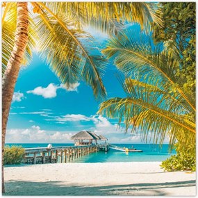 Poszterek 30x30 Trópusok Tájkép Pálma