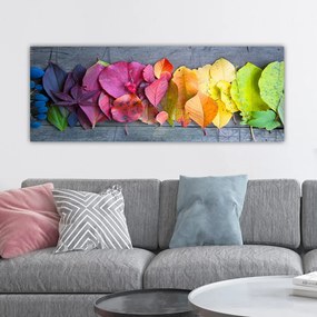 Vászonkép, 30×80 cm – TR483TNS1382