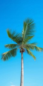 Poszter 50x100cm Égi magaslatok