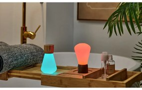 Natúr színű szabályozható asztali lámpa (magasság 13 cm) Pentagon – Gingko