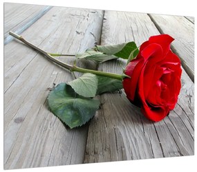 Rózsás képe (70x50 cm)