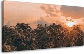 Vászonkép Fák Naplemente Felhők Égbolt 80x40 cm