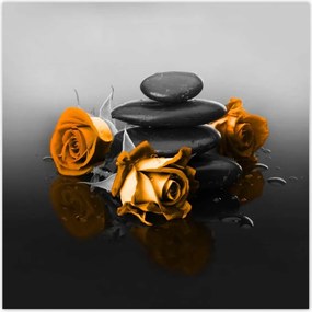 Poszterek 30x30 Narancssárga rózsa Spa