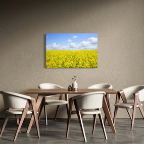 Egy sárga mező képe (90x60 cm)