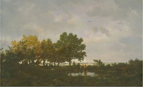 Flizelin fotótapéta Flizelin Designer Erdei tájkép 416x254 Ragasztó