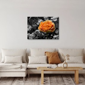 Virág képe (70x50 cm)