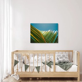 Kép - A pálmalevél részlete (70x50 cm)