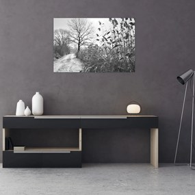 Kép - Mezők télen (90x60 cm)