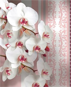 Fotótapéta Orchideák fehér-rózsaszín modern vinil 184x254 +ragasztó