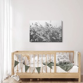 Kép - Fű a szélben (90x60 cm)