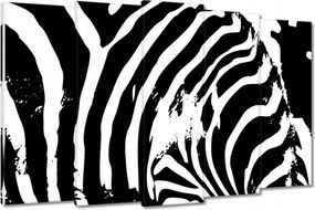 Vászonkép 150x95 Zebra csíkos kisállat