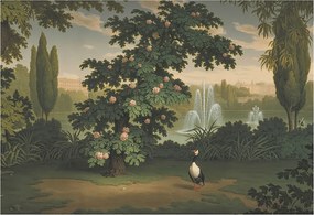 Fotótapéta Fali ragasztó szett Természetes kert 152x104 Ragasztó