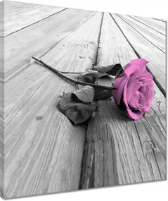 Vászonkép 40x40 Régi rózsa Rózsa a deszkákon