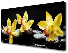 Vászonkép Virág orchidea növény 120x60 cm