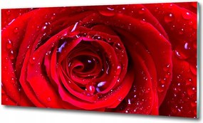 Fotó vászonkép edzett üveg Rózsa virág 125x50