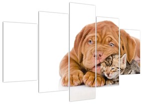 Kutya és cica képe (150x105 cm)
