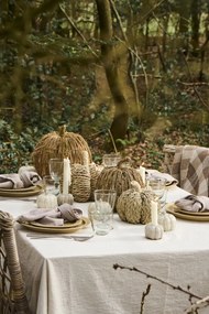 AKCIÓ Dísztök PUMPKIN COACH GRASS II. osztály