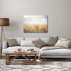 A gabona képe (70x50 cm)
