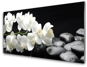 Üvegkép Stones virág növény 125x50 cm