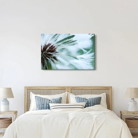 Kép - Egy virág részlete (90x60 cm)