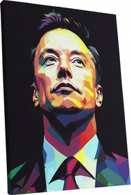 Vászonkép Portré Elon Musk nappali Elon Musk ajándék 60x80