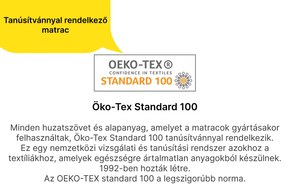 Wilsondo WILSONDIN habmatrac 90x200 kispárnával