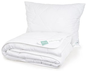 4Home Aloe Premium paplan és párna szett, 140 x 200 cm, 70 x 90 cm, 140 x 200 cm, 70 x 90 cm