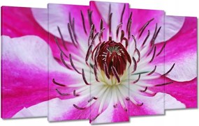 Vászonkép 100x60 Fehér-lila szirmok