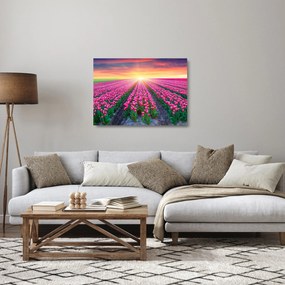 Tulipán mező és a nap képe (üvegen) (70x50 cm)