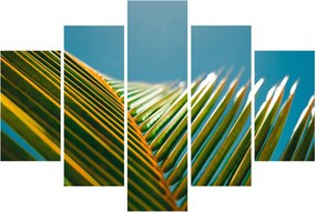 Kép - A pálmalevél részlete (150x105 cm)