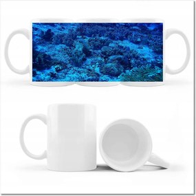 Bögre fényképpel Óceán ökoszisztéma zátony