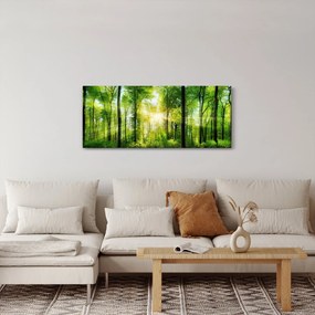 Kép - Hajnal az erdőben (120x50 cm)