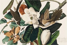 Dekoratív Fotótapéta Hálószobába Madarak Magnólia 104x70 Ragasztó