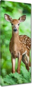 Vászonkép 40x100 Szarvas az erdőben Erdő