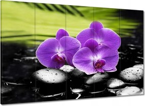 Vászonkép 100x70 Orchideák a köveken