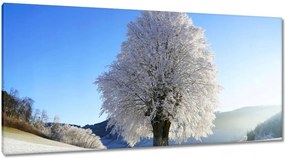 Vászonképek 115x55 Téli fa kép