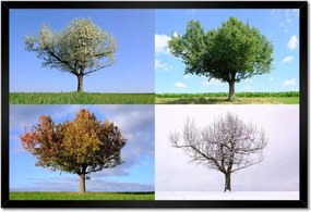 Poszterek keretben 60x40 Négy évszak Fa