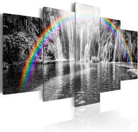 Kép - Rainbow on grays