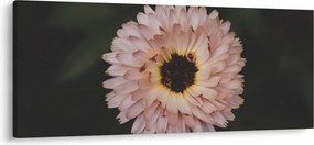 Narancsságra virág képe (120x50 cm)