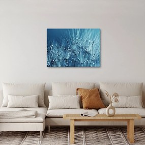 Kép - Harmatcseppek (70x50 cm)