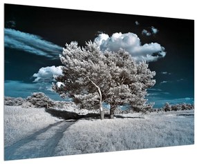 Hófehér fa képe (90x60 cm)