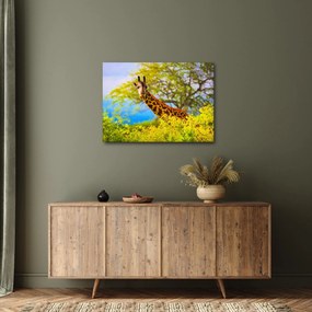 Egy kép egy zsiráfról Afrikában (70x50 cm)