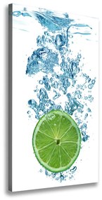 Feszített vászonkép Lime víz alatt ocv-94685211